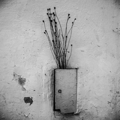 ... / Fine Art  Fotografie von Fotografin Alicja Brodowicz ★25 | STRKNG