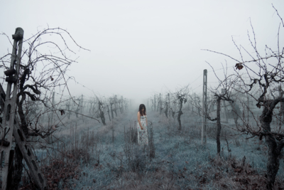 Life on Mars? / Conceptual  photography by Photographer Simona Zanna ★2 | STRKNG