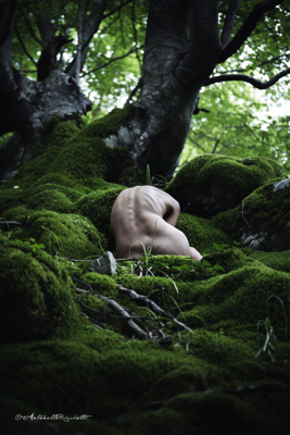 in the nature / Nude  Fotografie von Fotografin antonellaricciotti ★2 | STRKNG