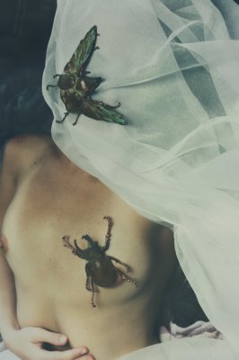August / Nude  photography by Designer/&shy;Brand Cu Nature ★17 | STRKNG