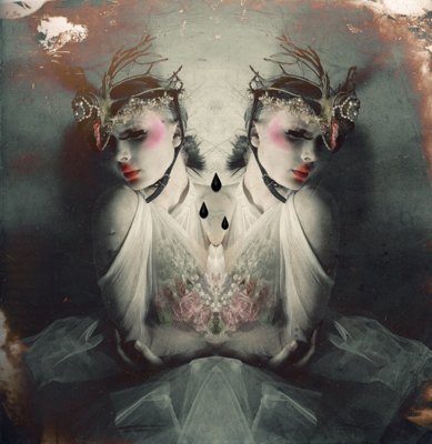 Swan / Fine Art  photography by Designer/&shy;Brand Angélini Candice ★24 | STRKNG