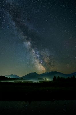 At night in the swamp / Night  photography by Photographer Mr. B ★1 | STRKNG
