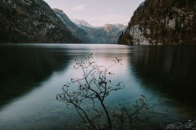 Little tree / Wasserlandschaften  Fotografie von Fotograf Mr. B ★1 | STRKNG