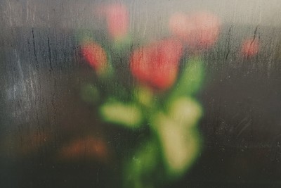 tulips behind a glass / Mood  photography by Photographer Monika Keller ★10 | STRKNG