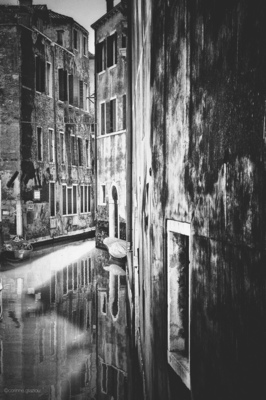 Schwarz-weiss  Fotografie von Fotografin corinne glaziou ★1 | STRKNG