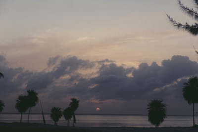 Afternoon / Natur  Fotografie von Fotografin Mariana Garcia | STRKNG