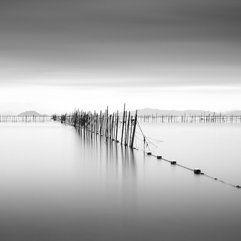 Fish Nets - &copy; Thomas Leong | Black and White