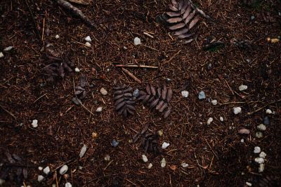 pattern / Nature  photography by Photographer Susann Bargas Gomez ★3 | STRKNG