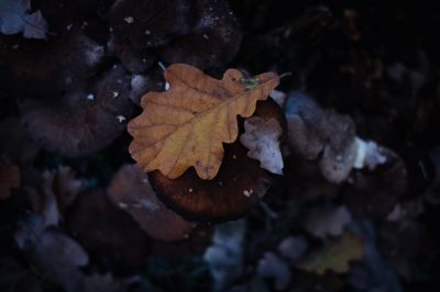 You / Natur  Fotografie von Fotografin Susann Bargas Gomez | STRKNG