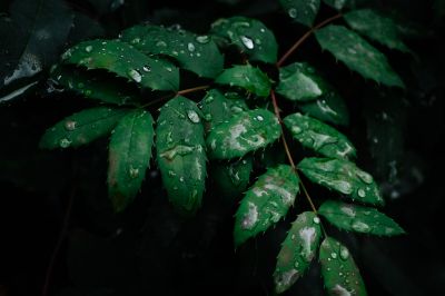 Durchatmen / Natur  Fotografie von Fotografin Susann Bargas Gomez | STRKNG