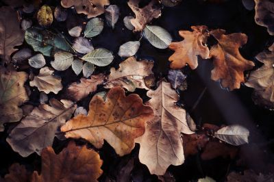 Terra I / Natur  Fotografie von Fotografin Susann Bargas Gomez | STRKNG