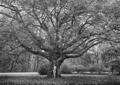 Tree of Life / Nude  photography by Photographer Lukas Kaminski ★15 | STRKNG