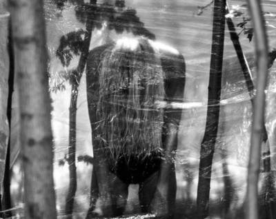 Black and White  photography by Photographer Dagmar Tas | STRKNG