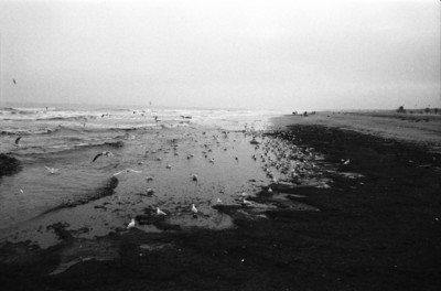 Come se non ci fosse un domani, come infatti non c'è. / Wasserlandschaften  Fotografie von Fotograf Maicol Testi | STRKNG