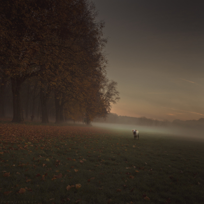 A Turn / Fine Art  photography by Photographer Formofadrop ★11 | STRKNG