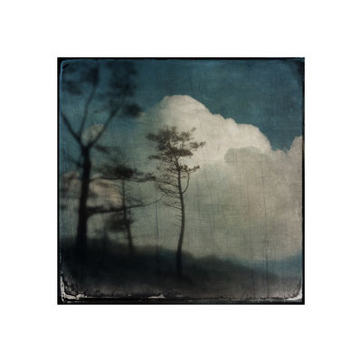 A memory of uplands / Landscapes  Fotografie von Fotograf mark kinrade ★11 | STRKNG