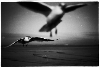 The Things I Tell You / Schwarz-weiss  Fotografie von Fotograf you feel me ★2 | STRKNG