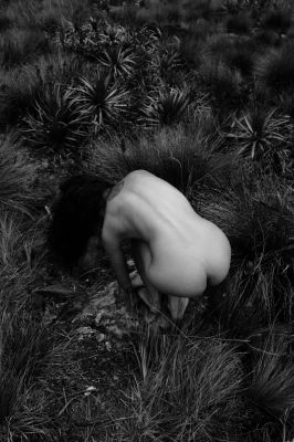 Páramo / Nude  Fotografie von Fotograf AlejoVega ★1 | STRKNG