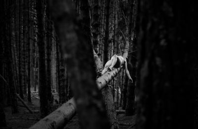 Ese Animal Triste / Sad Animal / Schwarz-weiss  Fotografie von Fotograf AlejoVega ★1 | STRKNG