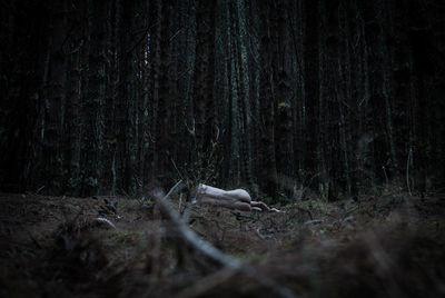 Anatomy of Silence / Nude  Fotografie von Fotograf AlejoVega ★1 | STRKNG
