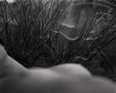 Nude  Fotografie von Fotograf Ander ★2 | STRKNG