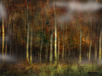 Golden Forest / Fine Art  photography by Photographer Gianmario Masala ★1 | STRKNG