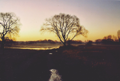 Winter Sun / Landscapes  photography by Photographer Marlin Helene ★1 | STRKNG