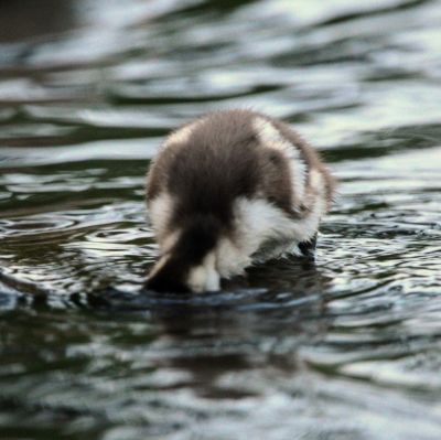 Natur  Fotografie von Fotograf Peter Jochim Fotografie ★1 | STRKNG