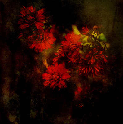 Eternal November / Kreativ  Fotografie von Fotograf Andrey Merschiy ★2 | STRKNG