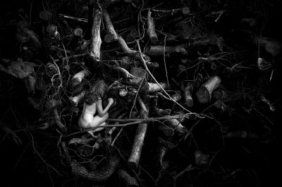 Holz / Nude  photography by Photographer papadoxx-fotografie ★3 | STRKNG