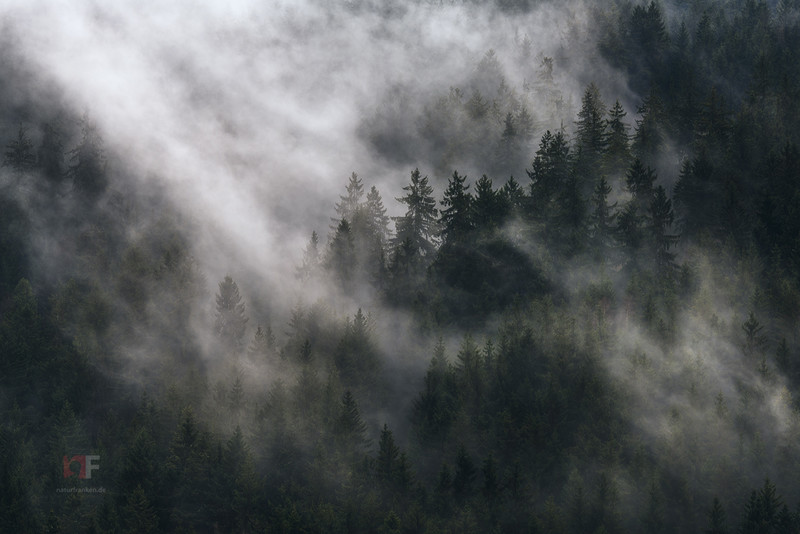 Frankenwald Noir - &copy; Stephan Amm | Landscapes