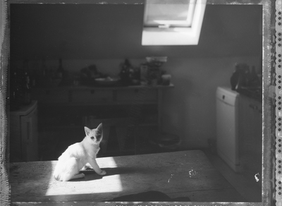 Maggie at the kitchen table / Schwarz-weiss  Fotografie von Fotograf Stephan Amm ★5 | STRKNG