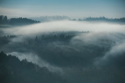 Spring Fog / Landscapes  Fotografie von Fotograf Stephan Amm ★5 | STRKNG