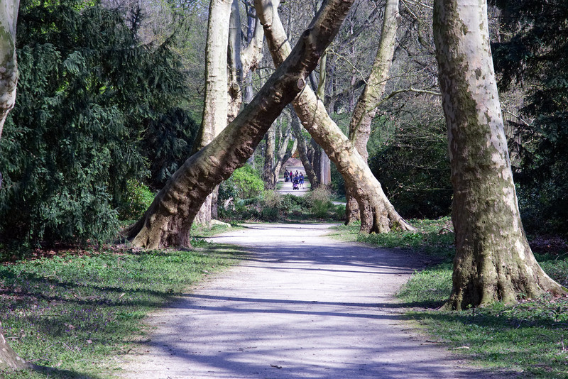 Im Wald vom Schloss Herten - &copy; Thomas2 | Landscapes