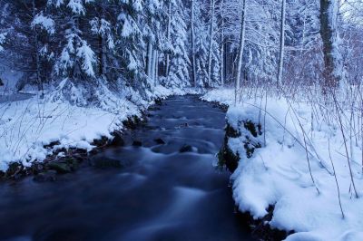 Winterabend am Bach III / Landscapes  Fotografie von Fotografin Cordula Kelle-Dingel ★3 | STRKNG