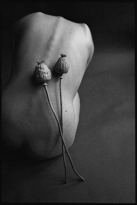 Body Shapes with Poppy / Fine Art  Fotografie von Fotografin Anna Försterling ★139 | STRKNG