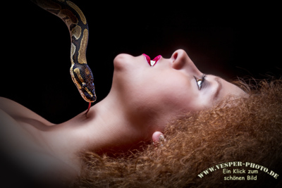 Kiss of snake / Portrait  Fotografie von Fotograf Tom112 | STRKNG