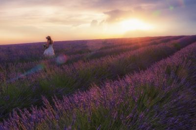 Lavender bride / Wedding  photography by Photographer Jens Klettenheimer ★36 | STRKNG