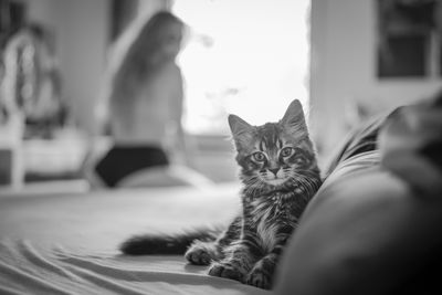 She and Cat / Nude  photography by Photographer Alex Fremer ★5 | STRKNG