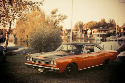 road runner / Photojournalism  photography by Photographer photörhead.ch | STRKNG