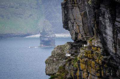 The great stack / Animals  photography by Photographer ZweenePhoto ★2 | STRKNG