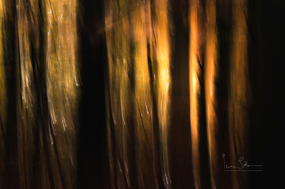 Burning / Abstract  photography by Photographer Insa Sobczak ★4 | STRKNG