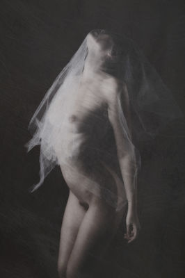 Enshrouded II / Fine Art  Fotografie von Fotograf Rob Linsalata ★10 | STRKNG