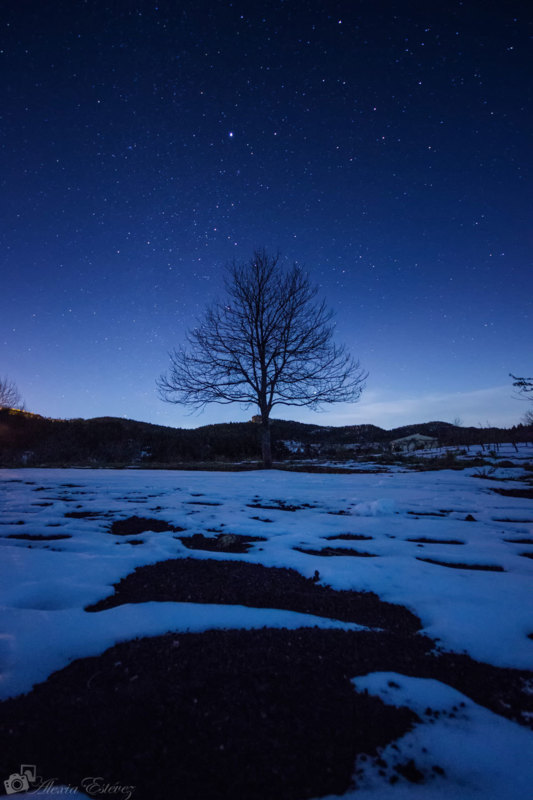 In the sky with diamonds - &copy; Alexia Estévez | Night