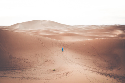 The Blue Man / Wildlife  Fotografie von Fotografin lu★ ★2 | STRKNG