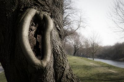 Mystischer Baum am Ruhrdeich / Landscapes  Fotografie von Fotograf Fine Cars | STRKNG