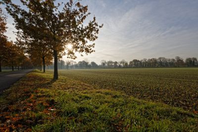 Herbstfarben am Niederrhein / Landscapes  Fotografie von Fotograf Fine Cars | STRKNG