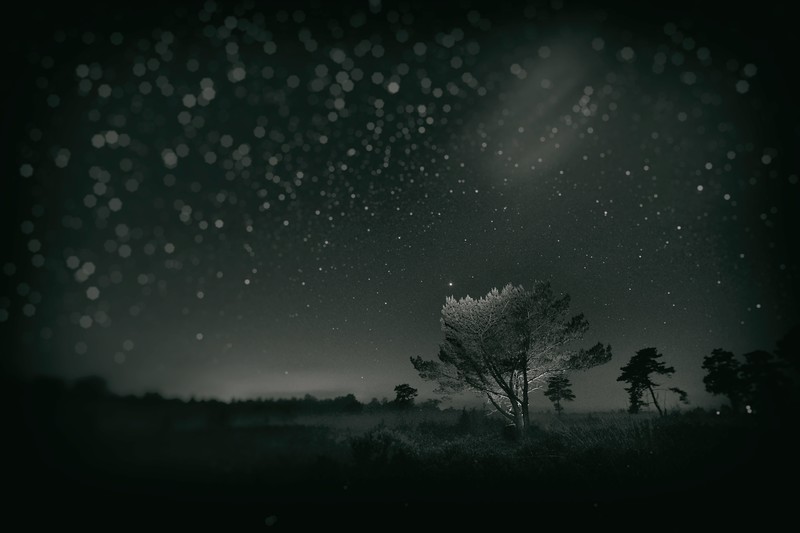 Venner Moor @ Night + Wetplate - &copy; 0_rly | Landscapes