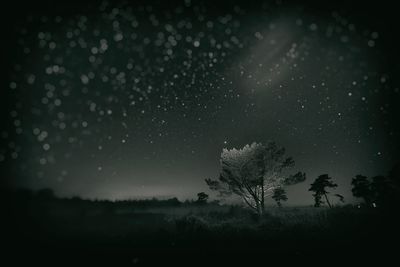 Venner Moor @ Night + Wetplate / Landscapes  Fotografie von Fotograf 0_rly ★1 | STRKNG