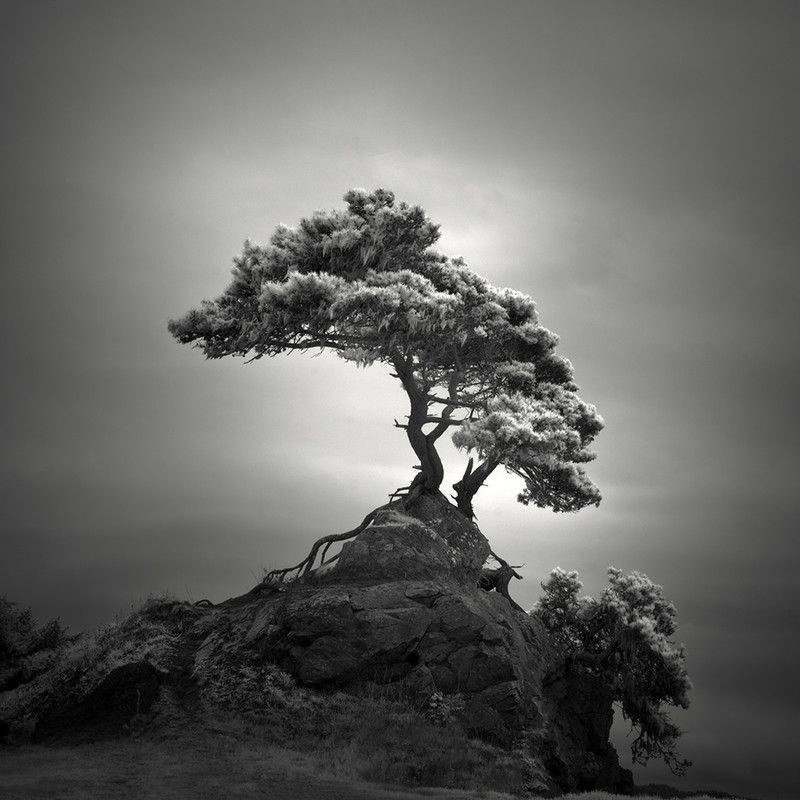 ishizuki - &copy; Nathan Wirth | Black and White